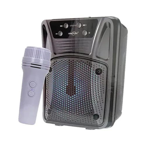 SPEAKER GREATNICE GTS2117